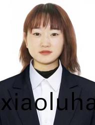 劉(liu)麗利(li)