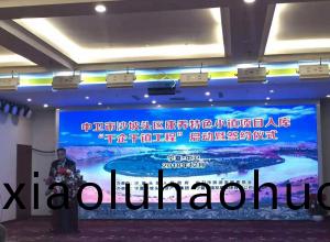 中衞市沙(sha)坡頭區(qu)康養特色小...